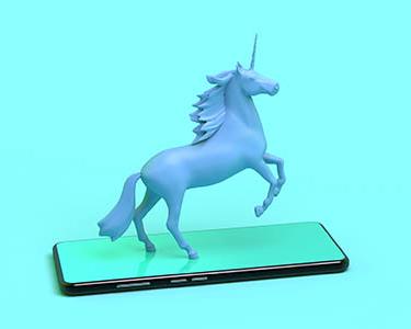 The Disappearing Tech Unicorns